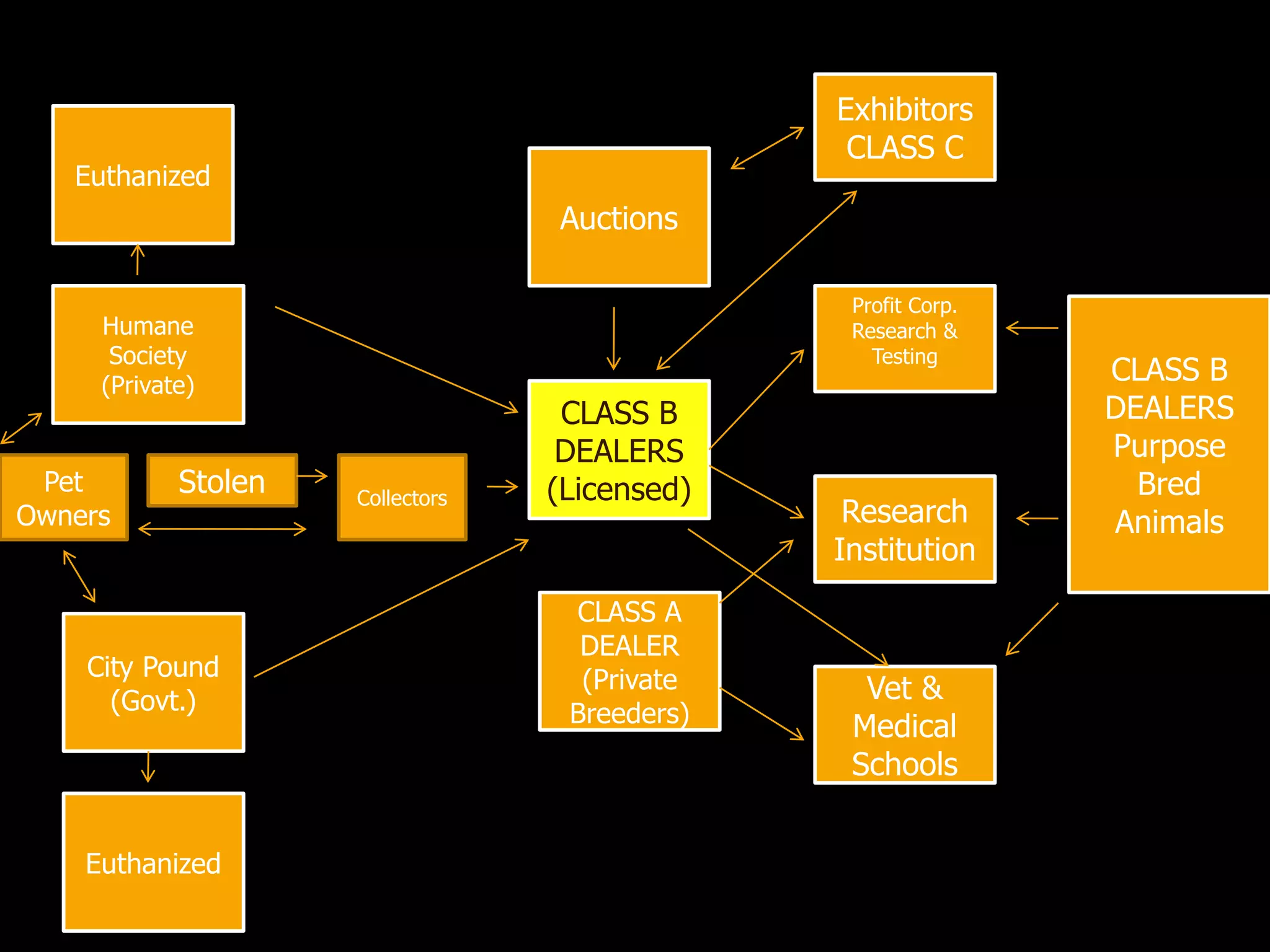 Euthanized
Humane
Society
(Private)
City Pound
(Govt.)
Euthanized
Pet
Owners
Stolen Collectors
CLASS B
DEALERS
(Licensed)
CLASS A
DEALER
(Private
Breeders)
Auctions
Exhibitors
CLASS C
CLASS B
DEALERS
Purpose
Bred
Animals
Profit Corp.
Research &
Testing
Research
Institution
Vet &
Medical
Schools
 