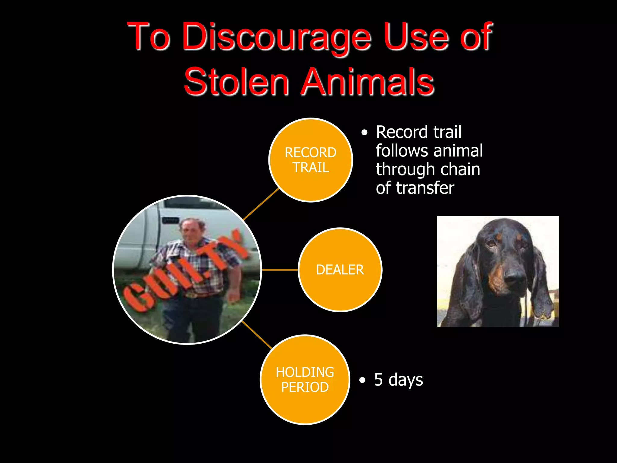 To Discourage Use of
Stolen Animals
RECORD
TRAIL
• Record trail
follows animal
through chain
of transfer
DEALER
HOLDING
PERIOD • 5 days
 