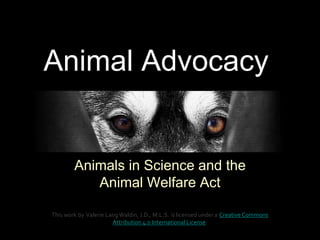 Animal Advocacy
Animals in Science and the
Animal Welfare Act
This work by Valerie LangWaldin, J.D., M.L.S. is licensed under a Creative Commons
Attribution 4.0 International License.
 