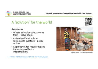 Animal welfare action network