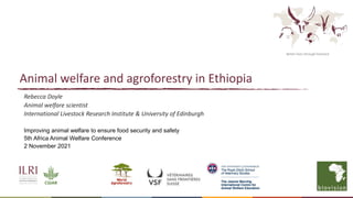 Better lives through livestock
Animal welfare and agroforestry in Ethiopia
Rebecca Doyle
Animal welfare scientist
International Livestock Research Institute & University of Edinburgh
Improving animal welfare to ensure food security and safety
5th Africa Animal Welfare Conference
2 November 2021
 