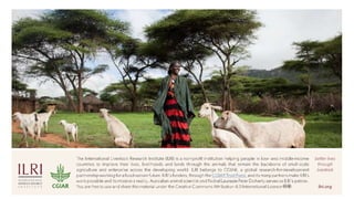 Animal welfare and agroforestry in Ethiopia