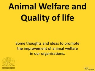 Animal Welfare and
Quality of life
Some thoughts and ideas to promote
the improvement of animal welfare
in our organisations.

 