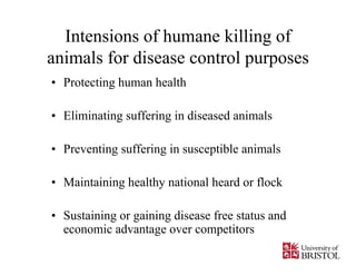 Animal welfare during pandemics and natural disasters | PDF
