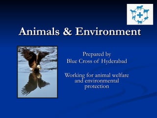 Animals & Environment Prepared by Blue Cross of Hyderabad Working for animal welfare and environmental protection 