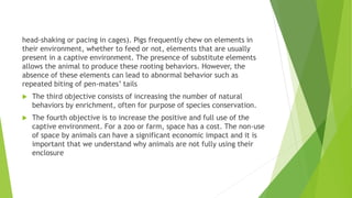 Animal welfare in captivity.pptx