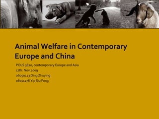 Animal  Welfare  in Contemporary Europe and China POLS 3620, contemporary Europe and Asia 17th. Nov.2009 06050123 Ding Zhuying 06011276 Yip Siu Fung 