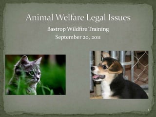 Animal Welfare Legal Issues Bastrop Wildfire Training September 20, 2011 1 