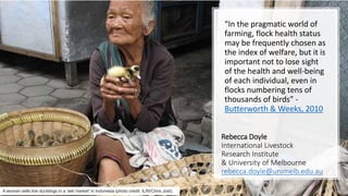 Poultry production vaccination challenges: What does it mean for animal welfare?