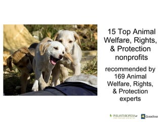 recommended by 169 Animal Welfare, Rights, & Protection experts 15 Top Animal Welfare, Rights,  & Protection  nonprofits    at 
