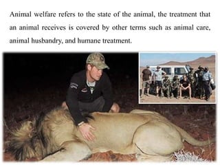 Animal welfare refers to the state of the animal, the treatment that
an animal receives is covered by other terms such as animal care,
animal husbandry, and humane treatment.
 