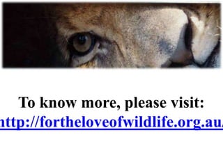 To know more, please visit:
http://fortheloveofwildlife.org.au/
 