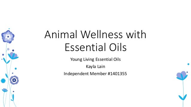 Animal Wellness With Essential Oils