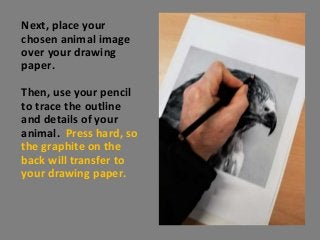 Next, place your
chosen animal image
over your drawing
paper.
Then, use your pencil
to trace the outline
and details of yo...