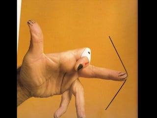 Animanos+y+musimanos