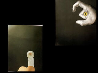 Animanos+y+musimanos