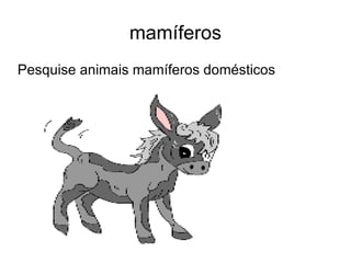 mamíferos ,[object Object]