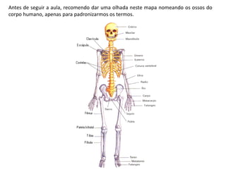 Antes de seguir a aula, recomendo dar uma olhada neste mapa nomeando os ossos do
corpo humano, apenas para padronizarmos os termos.
 