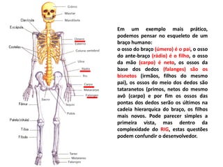 Em um exemplo mais prático,
podemos pensar no esqueleto de um
braço humano:
o osso do braço (úmero) é o pai, o osso
do ante-braço (rádio) é o filho, o osso
da mão (carpo) é neto, os ossos da
base dos dedos (falanges) são os
bisnetos (irmãos, filhos do mesmo
pai), os ossos do meio dos dedos são
tataranetos (primos, netos do mesmo
avô (carpo) e por fim os ossos das
pontas dos dedos serão os últimos na
cadeia hierarquica do braço, os filhos
mais novos. Pode parecer simples a
primeira vista, mas dentro da
complexidade do RIG, estas questões
podem confundir o desenvolvedor.
 