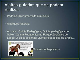 • Pode-se fazer uma visita a museus;
• A parques naturais;
• Ar Livre : Quinta Pedagógica; Quinta pedagógica do
Seixo; Quinta Pedagógica no Parque Zoológico de
Lagos; O Salta-pocinhas; Quinta Pedagógica de Braga…
• Quinta o salta-pocinho
 