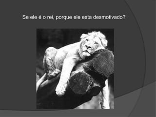 Se ele é o rei, porque ele esta desmotivado?