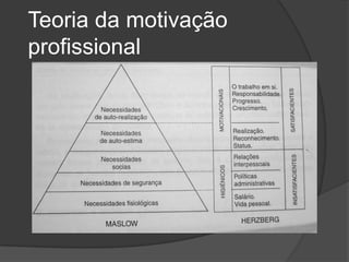 Teoria da motivação profissional