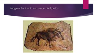 Imagem 2 – Javali com cerca de 8 patas
 