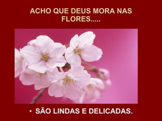 ACHO QUE DEUS MORA NAS FLORES..... SÃO LINDAS E DELICADAS. 