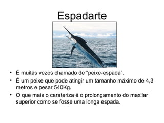 Espadarte
• É muitas vezes chamado de “peixe-espada”.
• É um peixe que pode atingir um tamanho máximo de 4,3
metros e pesar 540Kg.
• O que mais o carateriza é o prolongamento do maxilar
superior como se fosse uma longa espada.
 