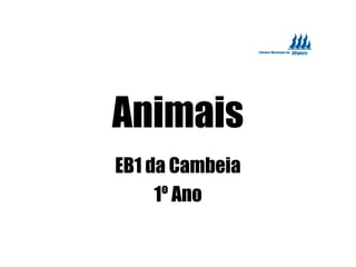 Animais
EB1 da Cambeia
1º Ano
 