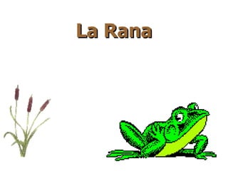 La Rana
 