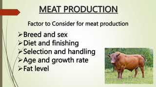 The health of Animals and its Production.pptx