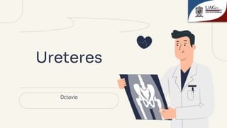 Ureteres
Octavio
 