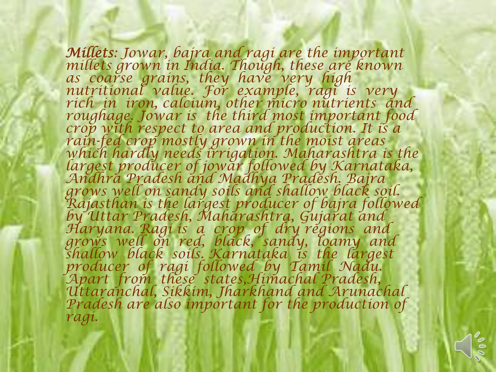 Millets: Jowar, bajra and ragi are the important
millets grown in India. Though, these are known
as coarse grains, they have very high
nutritional value. For example, ragi is very
rich in iron, calcium, other micro nutrients and
roughage. Jowar is the third most important food
crop with respect to area and production. It is a
rain-fed crop mostly grown in the moist areas
which hardly needs irrigation. Maharashtra is the
largest producer of jowar followed by Karnataka,
Andhra Pradesh and Madhya Pradesh. Bajra
grows well on sandy soils and shallow black soil.
Rajasthan is the largest producer of bajra followed
by Uttar Pradesh, Maharashtra, Gujarat and
Haryana. Ragi is a crop of dry regions and
grows well on red, black, sandy, loamy and
shallow black soils. Karnataka is the largest
producer of ragi followed by Tamil Nadu.
Apart from these states,Himachal Pradesh,
Uttaranchal, Sikkim, Jharkhand and Arunachal
Pradesh are also important for the production of
ragi.
 