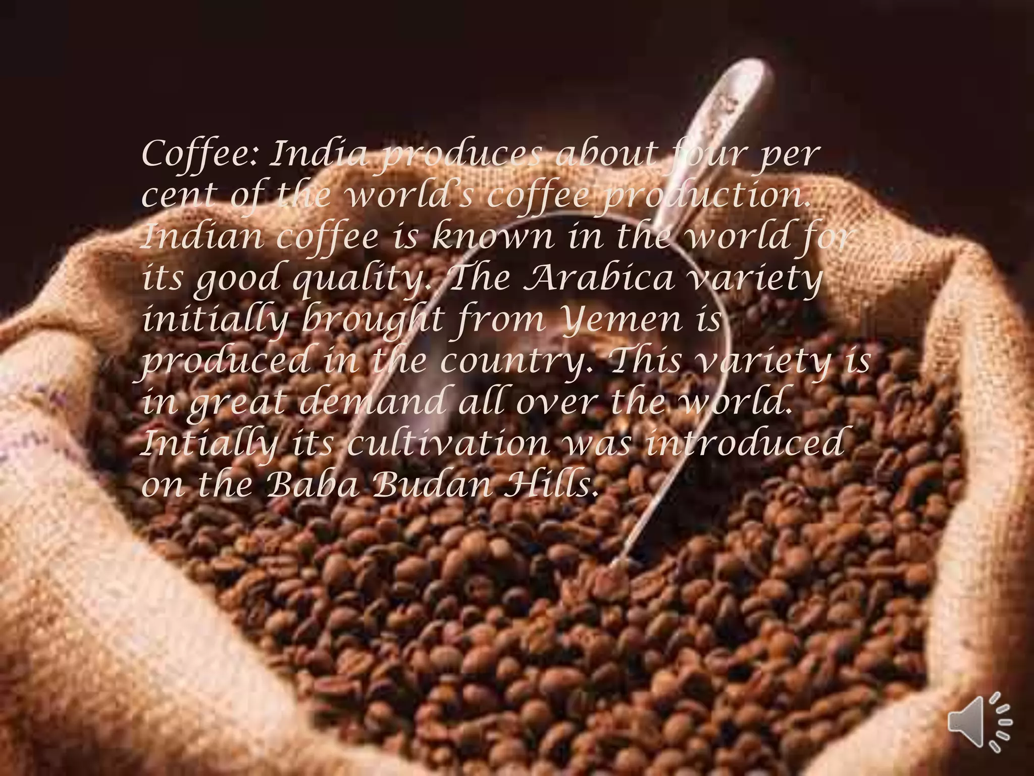 Coffee: India produces about four per
cent of the world’s coffee production.
Indian coffee is known in the world for
its good quality. The Arabica variety
initially brought from Yemen is
produced in the country. This variety is
in great demand all over the world.
Intially its cultivation was introduced
on the Baba Budan Hills.
 