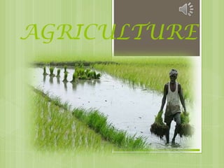 AGRICULTURE
 
