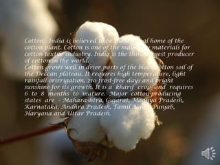 Cotton: India is believed to be the original home of the
cotton plant. Cotton is one of the main raw materials for
cotton textile industry. India is the third-largest producer
of cotton in the world.
Cotton grows well in drier parts of the black cotton soil of
the Deccan plateau. It requires high temperature, light
rainfall orirrigation, 210 frost-free days and bright
sunshine for its growth. It is a kharif crop and requires
6 to 8 months to mature. Major cotton-producing
states are – Maharashtra, Gujarat, Madhya Pradesh,
Karnataka, Andhra Pradesh, Tamil Nadu, Punjab,
Haryana and Uttar Pradesh.
 