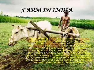 FARM IN INDIA




    Agriculture in India has a significant history.
    Today, India ranks second worldwide in farm
          output. Agriculture and allied sectors
   like forestry andfisheries accounted for 16.6% of
         the GDP in 2009, about 50% of the total
       workforce.[1] The economic contribution of
   agriculture to India's GDP is steadily declining
  with the country's broad-based economic growth.
  Still, agriculture is demographically the broadest
 economic sector and plays a significant role in the
          overall socio-economic fabric of India.
 