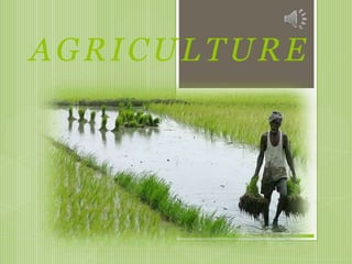 AGRICULTURE
 