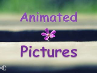 Animated pictures (v.m.)