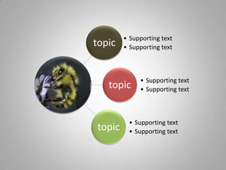 topic
• Supporting text
• Supporting text
topic
• Supporting text
• Supporting text
topic
• Supporting text
• Supporting text
 