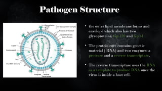 HIV, AIDS and detailed defining about transmission | PPT