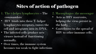 HIV, AIDS and detailed defining about transmission | PPT