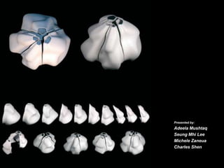 Presented by:
Adeela Mushtaq
Seung Mhi Lee
Michele Zaneua
Charles Shen
 