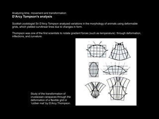 Analyzing time, movement and transformation:
D’Arcy Tompson’s analysis

Scottish zoolologist Sir D’Arcy Tompson analyzed variations in the morphology of animals using deformable
grids, which yielded curvilinear lines due to changes in form.

Thompson was one of the first scientists to notate gradient forces (such as temperature) through deformation,
inflections, and curvature.




               Study of the transformation of
               crustacean carapaces through the
               deformation of a flexible grid or
               ‘rubber mat’ by D’Arcy Thompson.
 