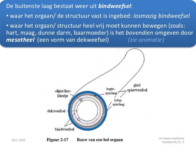 welk orgaan maakt gal