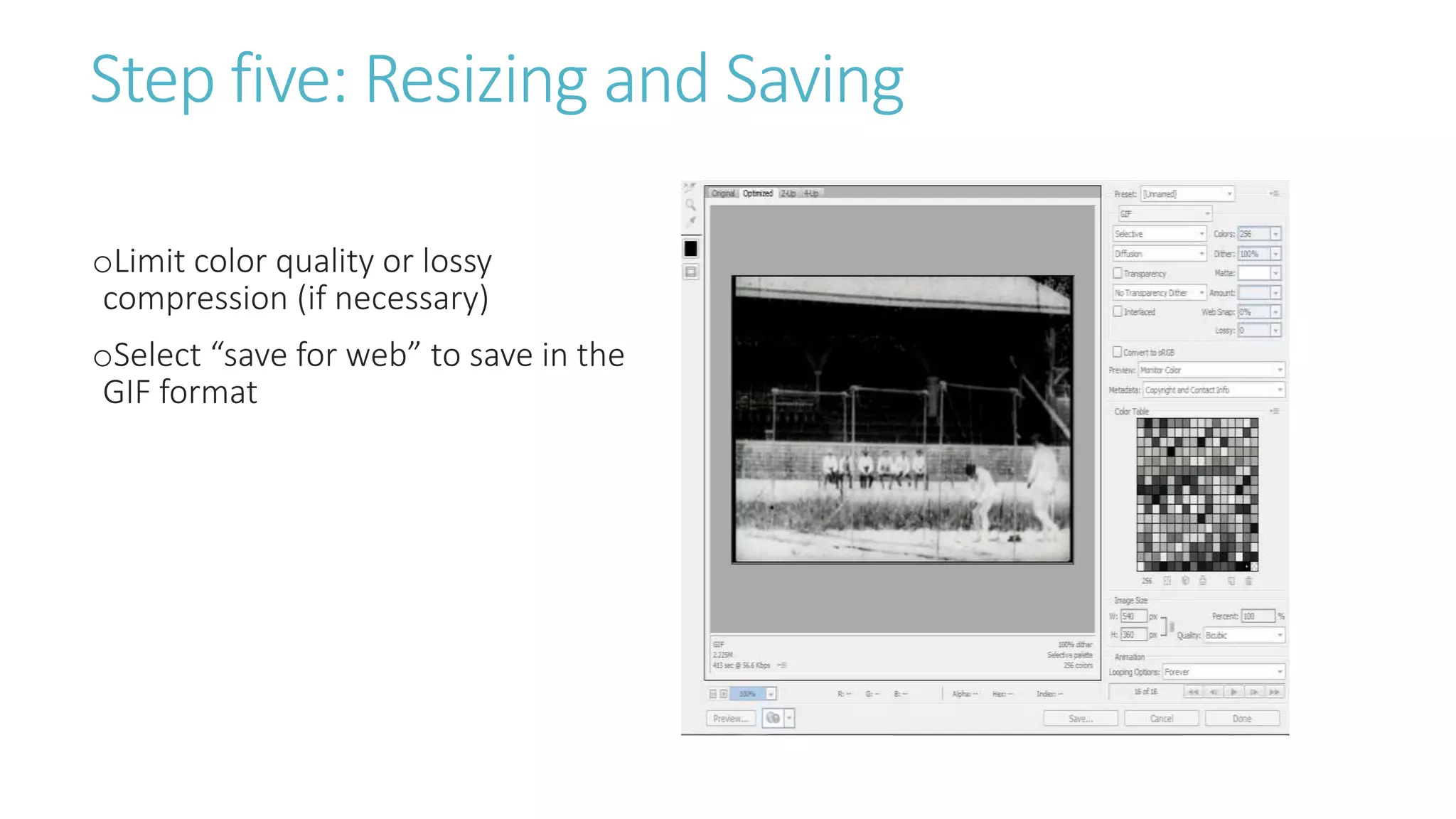 Step five: Resizing and Saving
oLimit color quality or lossy
compression (if necessary)
oSelect “save for web” to save in the
GIF format
 