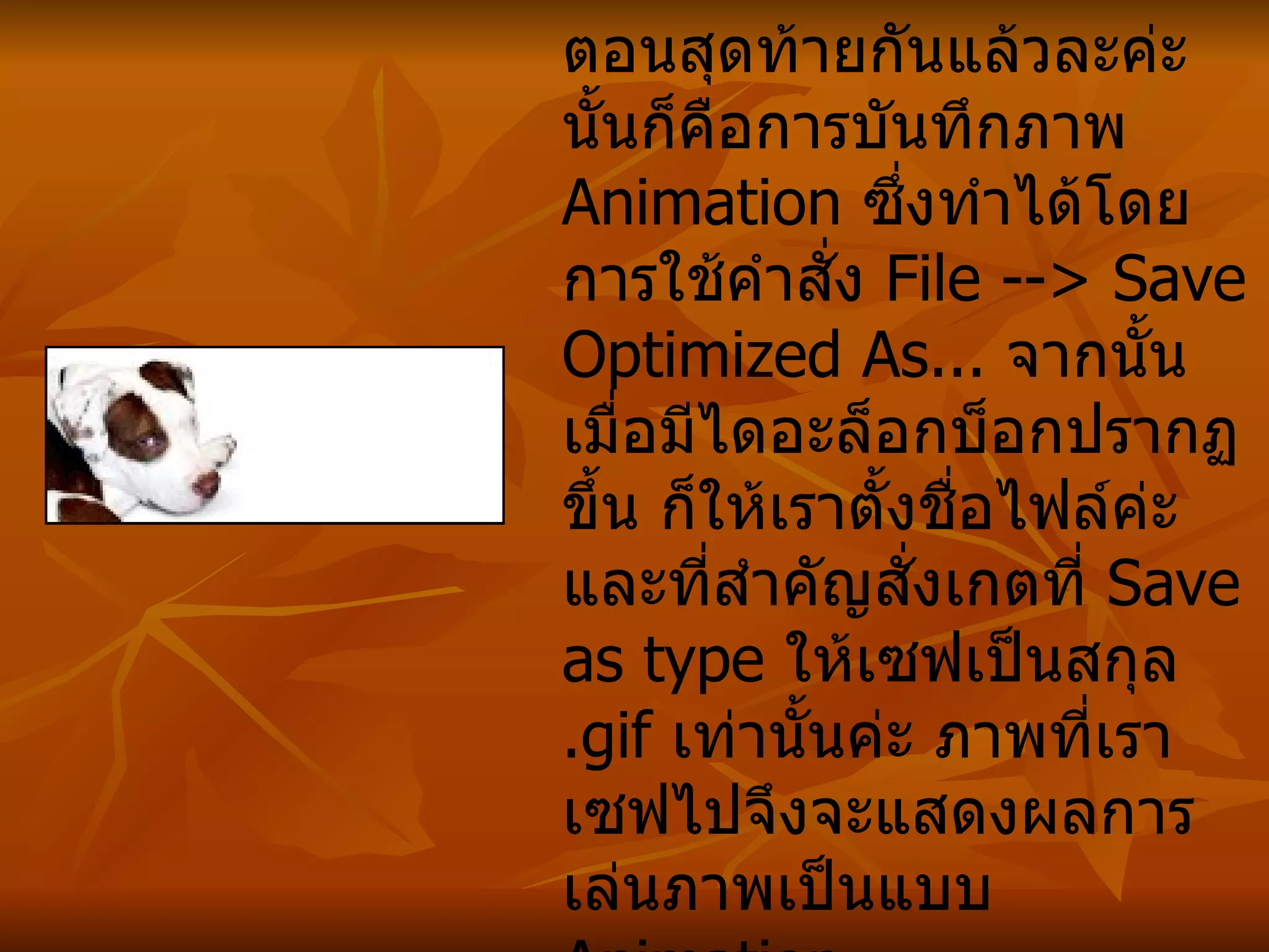 เอาละค่ะ ... ทีนี้ก็มาถึงขั้นตอนสุดท้ายกันแล้วละค่ะ นั้นก็คือการบันทึกภาพ  Animation  ซึ่งทำได้โดยการใช้คำสั่ง  File --> Save Optimized As...  จากนั้นเมื่อมีไดอะล็อกบ็อกปรากฏขึ้น ก็ให้เราตั้งชื่อไฟล์ค่ะ และที่สำคัญสั่งเกตที่  Save as type  ให้เซฟเป็นสกุล  . gif  เท่านั้นค่ะ ภาพที่เราเซฟไปจึงจะแสดงผลการเล่นภาพเป็นแบบ  Animation  