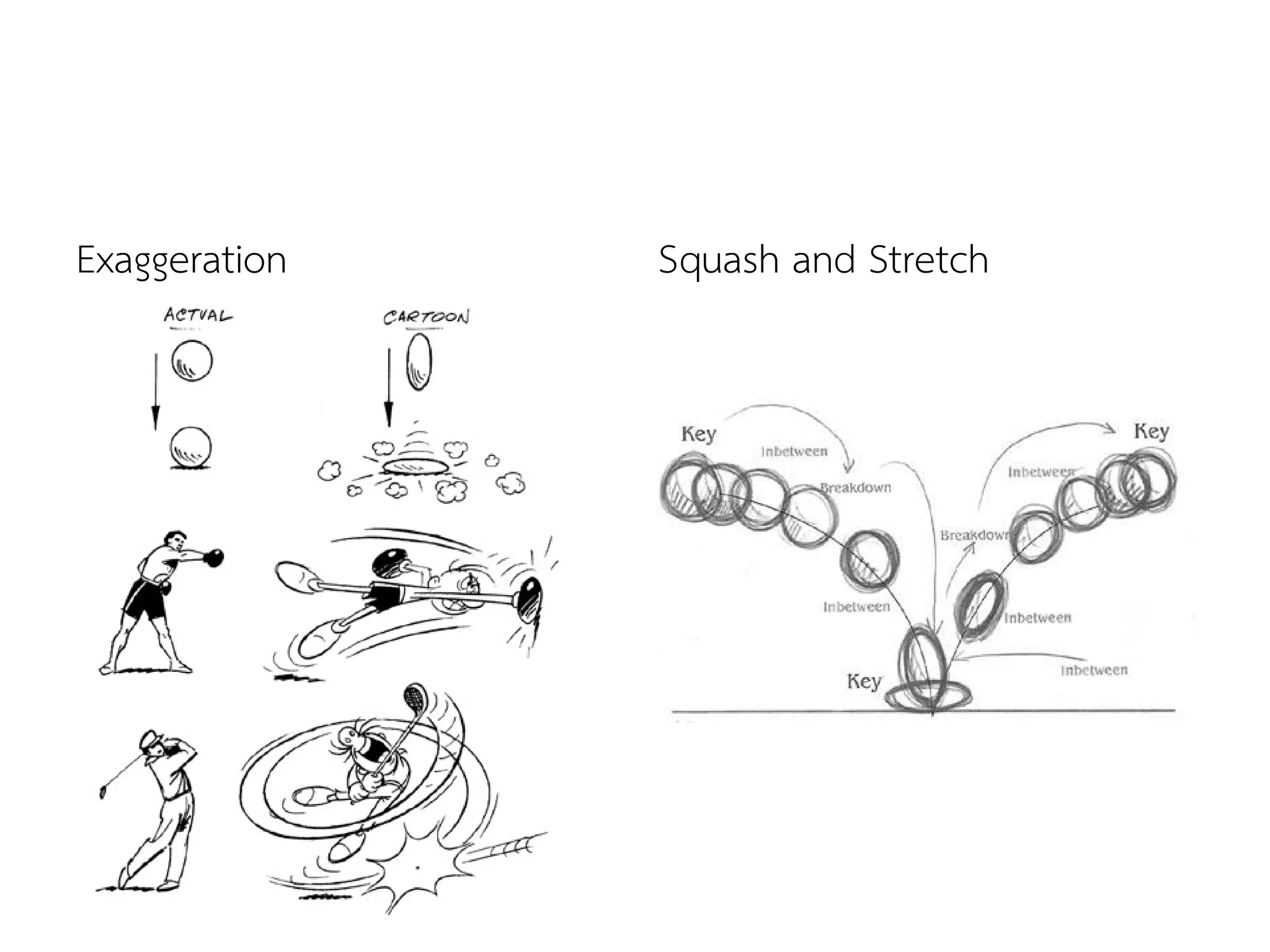 Exaggeration Squash and Stretch
 