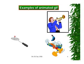 Dr. CK Tan, UMS 6
Examples of animated gif
 
